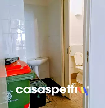 Foto annuncio 7