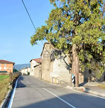 Foto annuncio 7