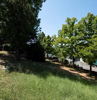Foto annuncio 32