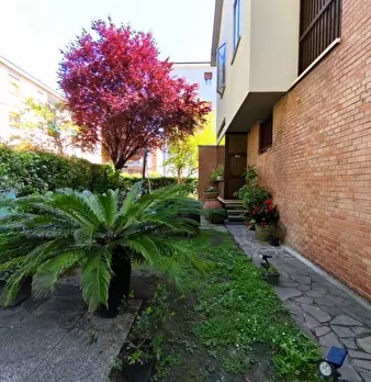 Foto annuncio 56