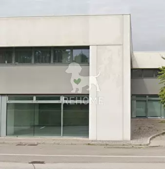 Foto annuncio 1