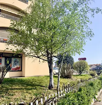 Foto annuncio 38