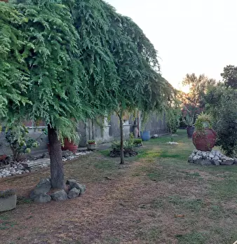 Foto annuncio 23