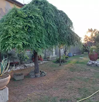 Foto annuncio 24