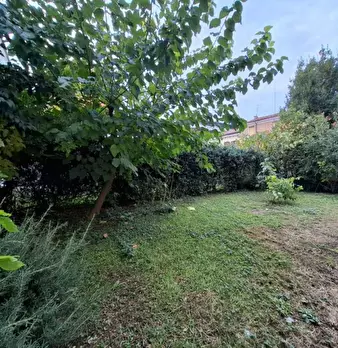 Foto annuncio 6