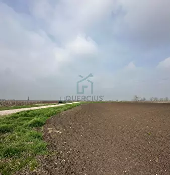 Foto annuncio 18