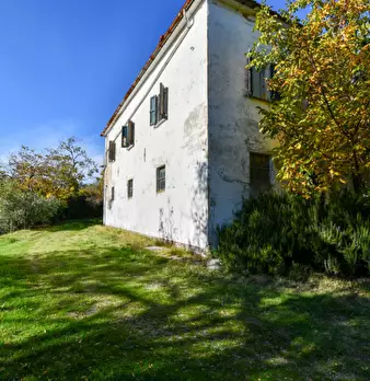 Foto annuncio 7