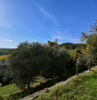 Foto annuncio 8