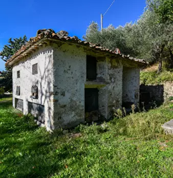 Foto annuncio 13