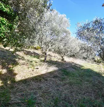 Foto annuncio 34