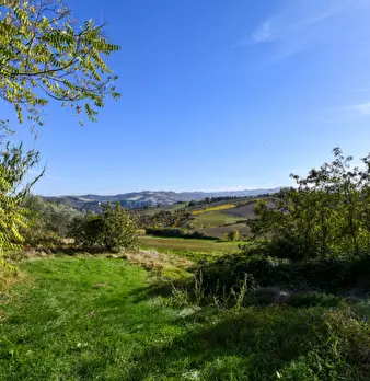 Foto annuncio 39