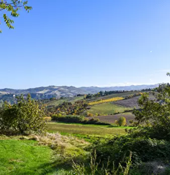Foto annuncio 40