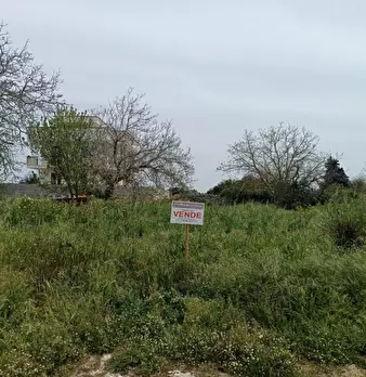 Foto annuncio 1