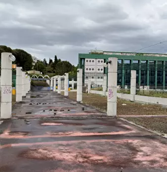 Foto annuncio 31