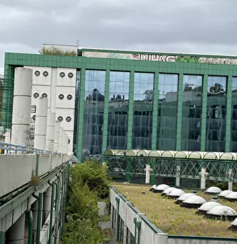 Foto annuncio 39