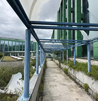 Foto annuncio 41