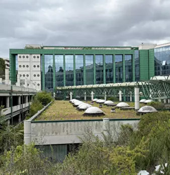 Foto annuncio 44