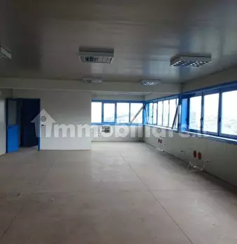 Foto annuncio 11