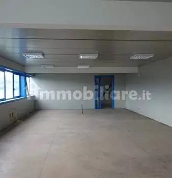 Foto annuncio 12