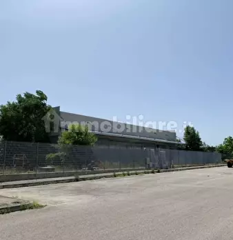 Foto annuncio 15