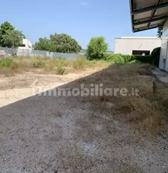 Foto annuncio 18