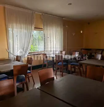 Foto annuncio 11
