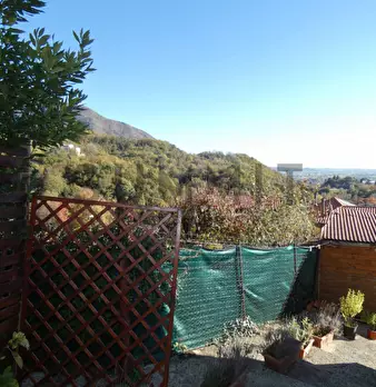 Foto annuncio 4