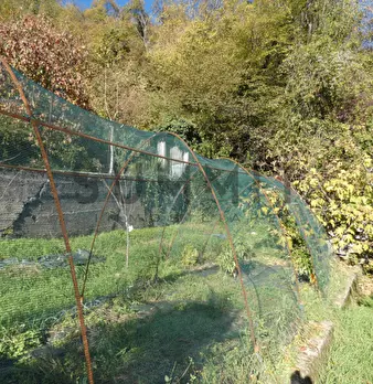 Foto annuncio 22