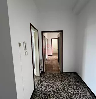 Foto annuncio 20