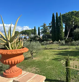 Foto annuncio 28