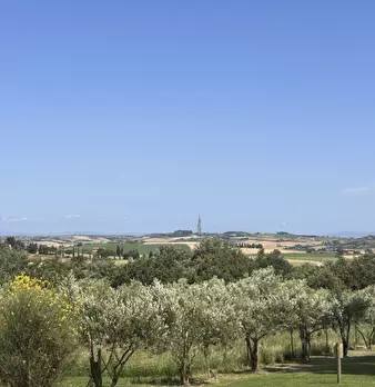 Foto annuncio 34