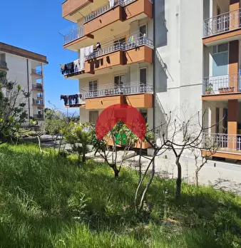 Foto annuncio 48