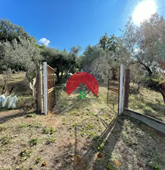 Foto annuncio 4