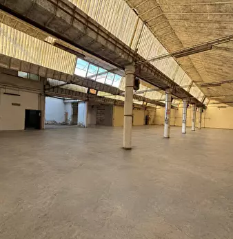 Foto annuncio 14
