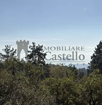 Foto annuncio 24