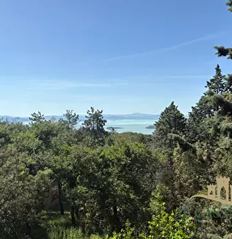 Foto annuncio 28