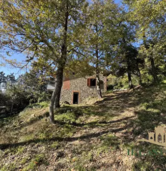 Foto annuncio 29