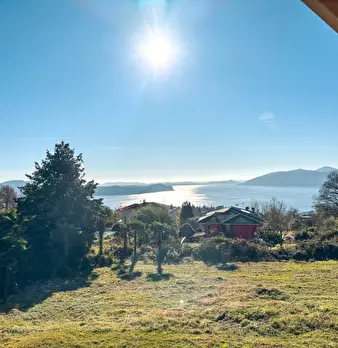 Foto annuncio 61