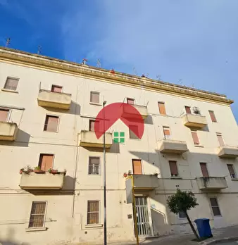 Foto annuncio 6