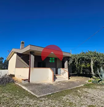 Foto annuncio 16