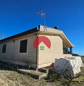 Foto annuncio 17