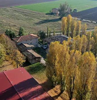 Foto annuncio 19