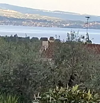 Foto annuncio 20