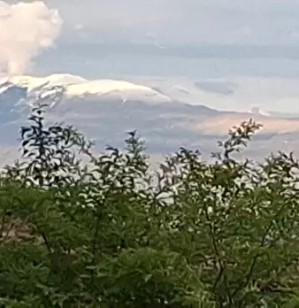 Foto annuncio 21