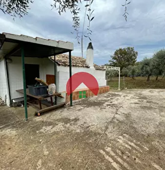 Foto annuncio 1