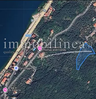 Foto annuncio 21