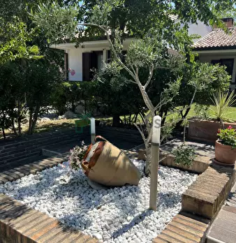 Foto annuncio 29