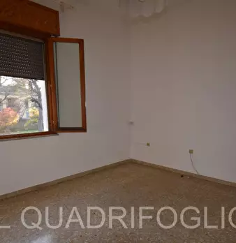 Foto annuncio 13