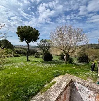 Foto annuncio 13