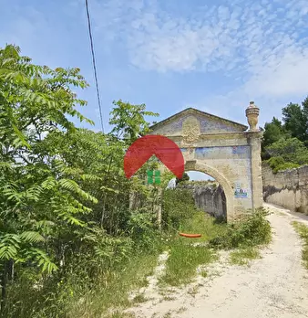 Foto annuncio 4